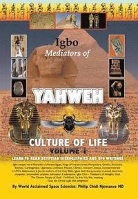 bokomslag Igbo Mediators of Yahweh Culture of Life