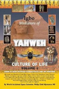 bokomslag Igbo Mediators of Yahweh Culture of Life