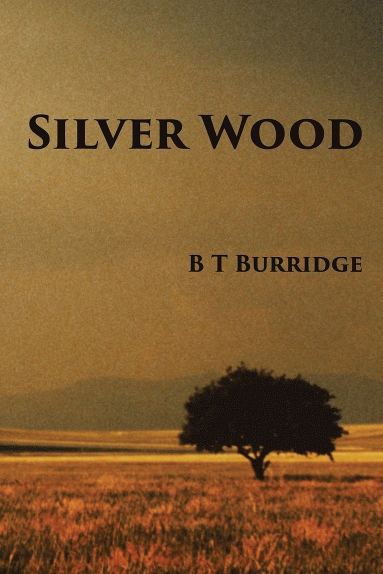 B T Burridge, B. T. Burridge - Silver Wood, Häftad