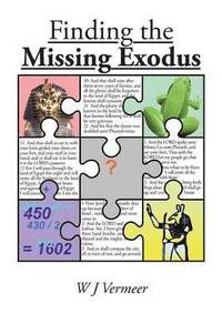 bokomslag Finding the Missing Exodus
