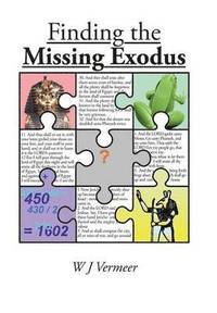 bokomslag Finding the Missing Exodus