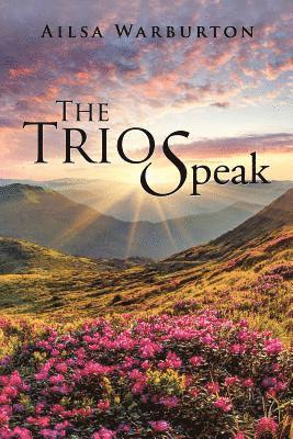 bokomslag Trio Speak