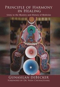 bokomslag Principle of Harmony in Healing