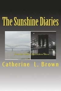 bokomslag The Sunshine Diaries