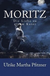 bokomslag Moritz