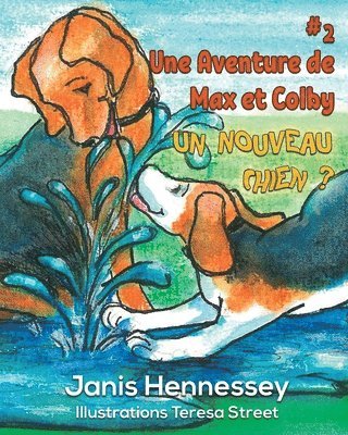 Janis Hennessey - Un Nouveau Chien ?: Une Aventure de Max & Colby, Häftad