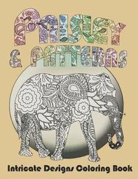 bokomslag Paisley and Patterns: Intricate Designs Coloring Book