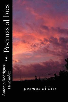 Antonio Rodríguez Hernández - Poemas al bies, Häftad