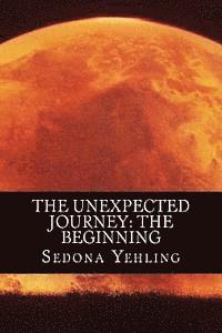 bokomslag The Unexpected Journey: The Beginning