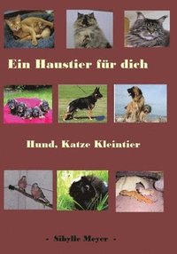 bokomslag Ein Haustier für dich: Hund, Katze, Kleintier