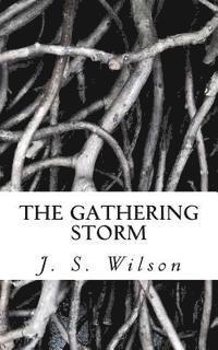 bokomslag The Gathering Storm