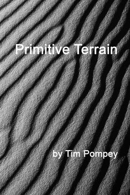 bokomslag Primitive Terrain