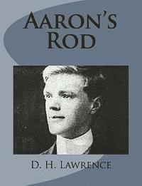 D. H. Lawrence - Aaron's Rod, Häftad