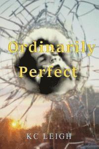 bokomslag Ordinarily Perfect: A car accident, a brain injury...will anything be ordinary again?