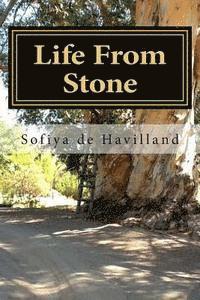 bokomslag Life From Stone: The Story of Pasha, the boy from Ukraine