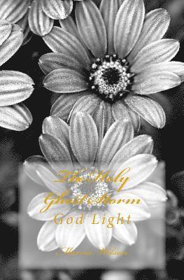 Marcia Wilson - The Holy Ghost Storm: God Light, Häftad