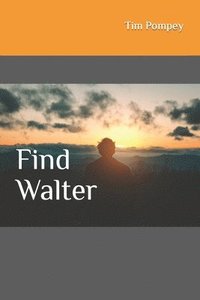 bokomslag Find Walter
