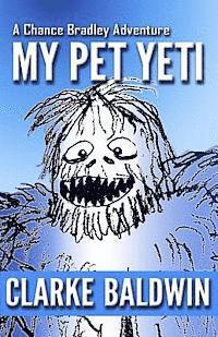 bokomslag My Pet Yeti