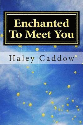 Enchanted To Meet You 1