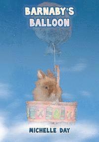 bokomslag Barnaby's Balloon