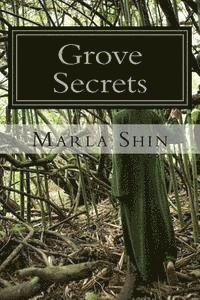 bokomslag Grove Secrets