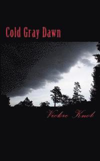 bokomslag Cold Gray Dawn