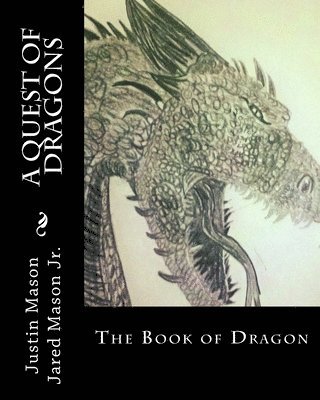 bokomslag A Quest of Dragons: The Book of Dragon