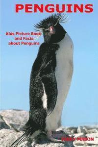 bokomslag Penguins: Kids Picture Book and Facts about Penguins