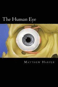 bokomslag The Human Eye: A Fascinating Book Containing Human Eye Facts, Trivia, Images & Memory Recall Quiz: Suitable for Adults & Children