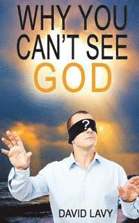 bokomslag Why You Can't See God