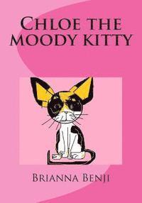 bokomslag Chloe the moody kitty: A Benji's Pets book