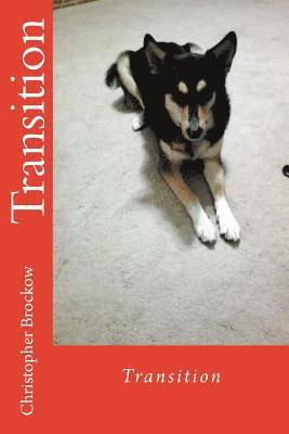 Christopher Brockow - Transition, Häftad