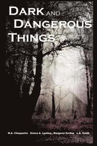 bokomslag Dark and Dangerous Things