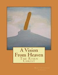 bokomslag A vision from heaven: The Risen Christ