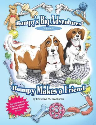 bokomslag Bumpy's Big Adventures Bumpy Makes a Friend: Bumpy's Big Adventures Bumpy Makes a Friend