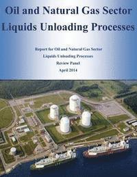 bokomslag Oil and Natural Gas Sector Liquids Unloading Processes