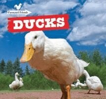 Maddie Gibbs - Ducks, Inbunden