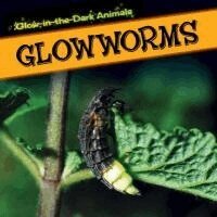 Kristen Rajczak Nelson - Glowworms, Inbunden