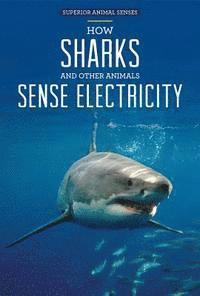 Christine Honders - How Sharks and Other Animals Sense Electricity, Häftad