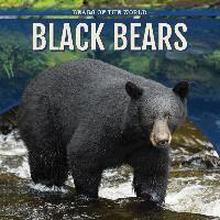 Joyce Jeffries - Black Bears, Häftad