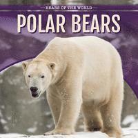 Polar Bears 1