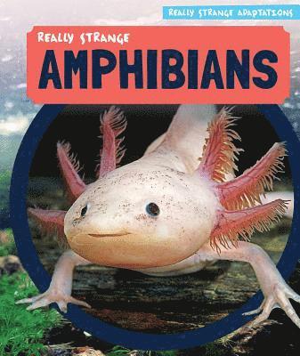 Melissa Raé Shofner - Really Strange Amphibians, Häftad