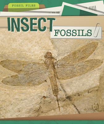 Barbara M. Linde - Insect Fossils, Häftad