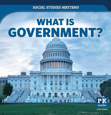 Peter Finn - What Is Government?, Häftad