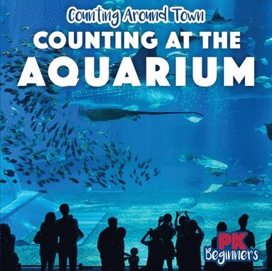 bokomslag Counting at the Aquarium