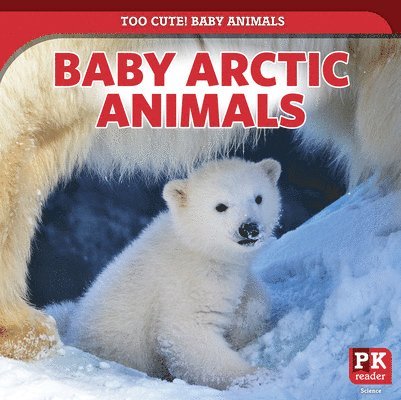 Baby Arctic Animals 1