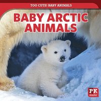 bokomslag Baby Arctic Animals