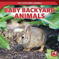 bokomslag Baby Backyard Animals
