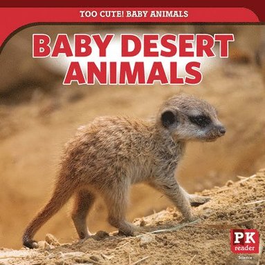 bokomslag Baby Desert Animals