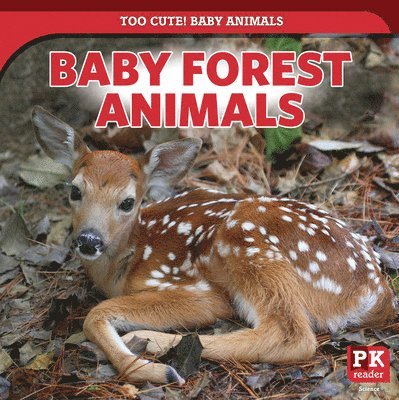 Rachael Morlock - Baby Forest Animals, Häftad